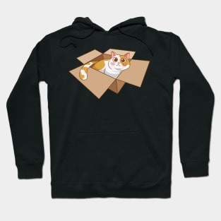 Cat in the box Hoodie